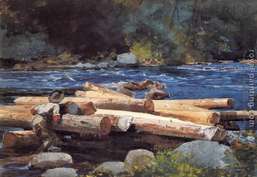 Winslow Homer : Hudson River
